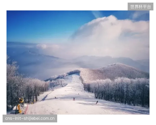 专业级摩擦系数电测服务的出现，终结了大众滑雪爱好者只能凭经验选择雪蜡的时代